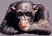 563be18deb_61471927_o2